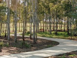 Pye Hill Reserve